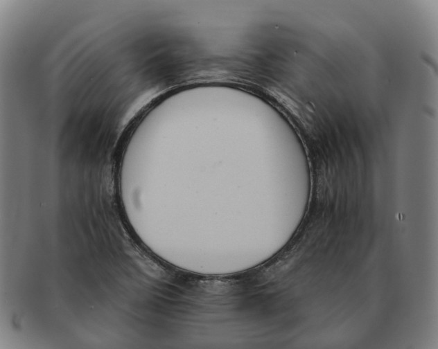 X0000091011458200708301346