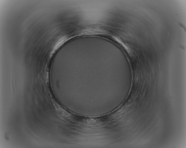 X0000091011459200708301346