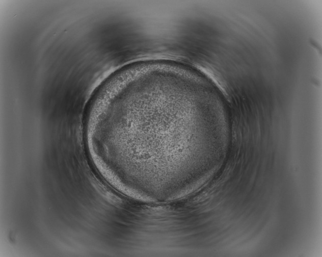 X0000091011460200708301346