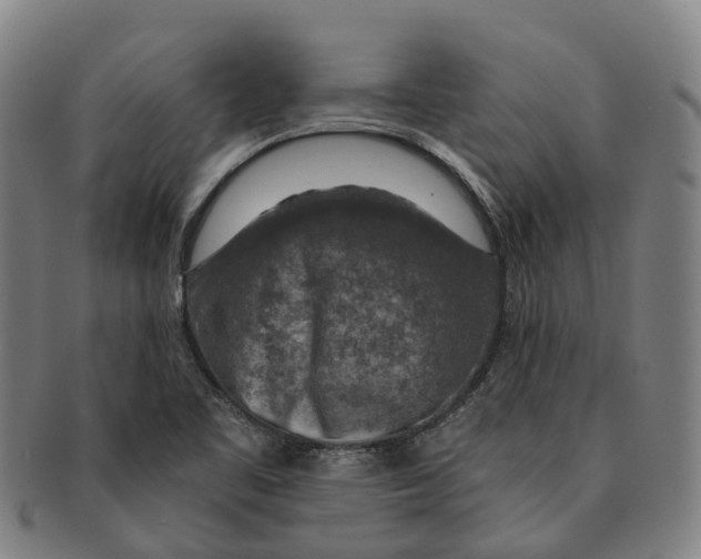 X0000091011461200708301346