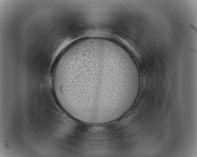 X0000091011462200708301346