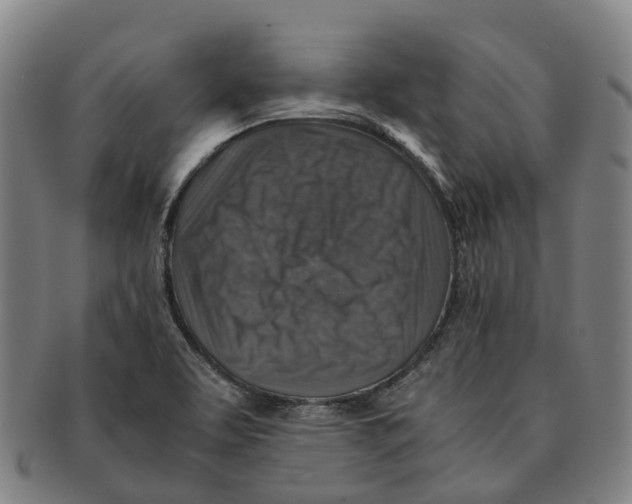 X0000091011463200708301346