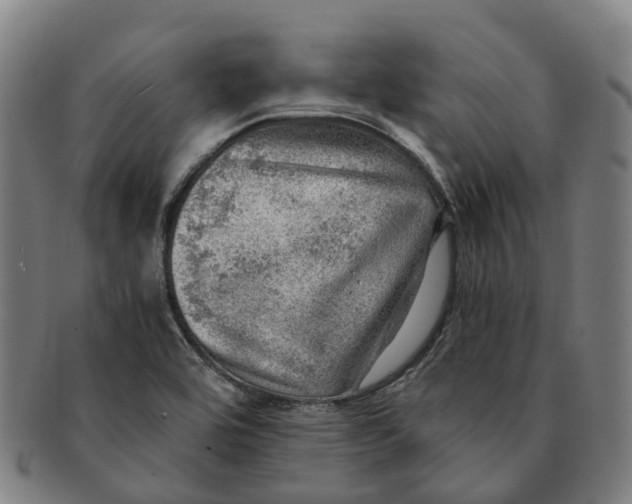 X0000091011464200708301346