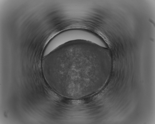 X0000091011465200708301346