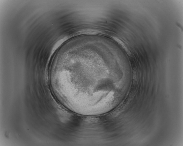 X0000091011466200708301346