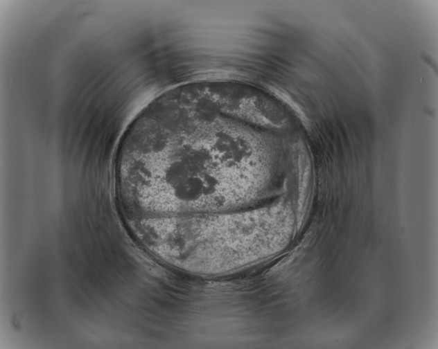 X0000091011467200708301346