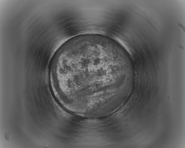 X0000091011468200708301346