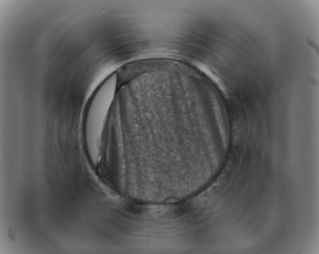 X0000091011469200708301346