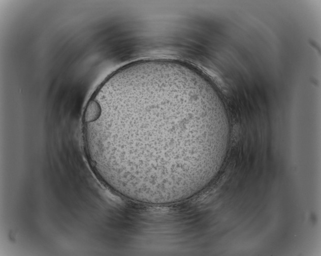 X0000091011470200708301346