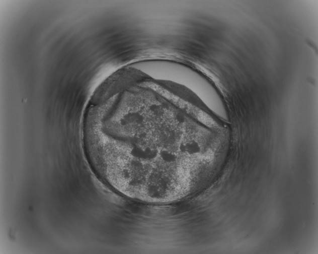 X0000091011471200708301346