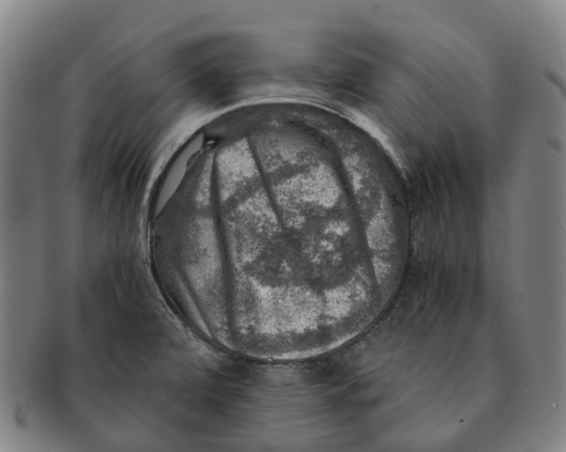 X0000091011472200708301346