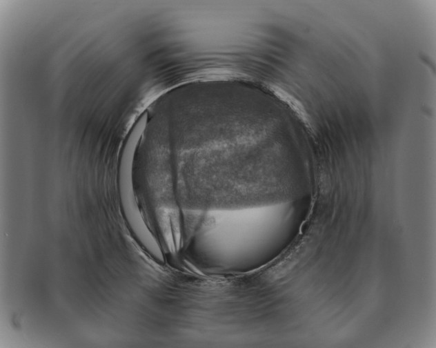 X0000091011473200708301346