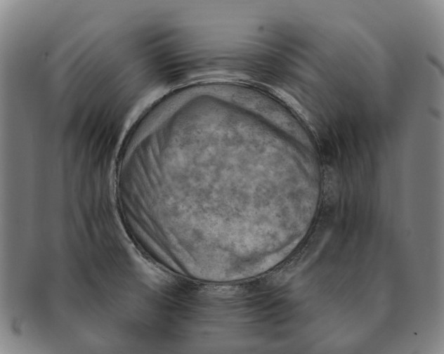 X0000091011474200708301346