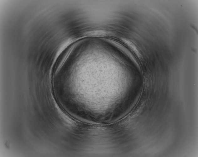 X0000091011475200708301346