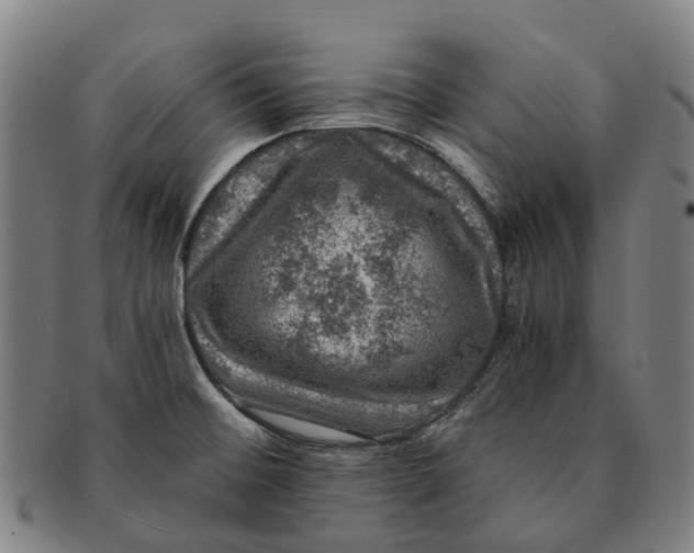 X0000091011476200708301346