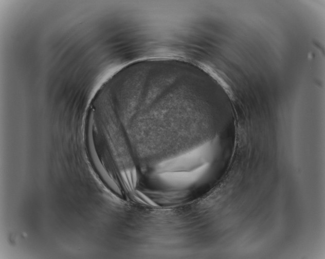 X0000091011477200708301346