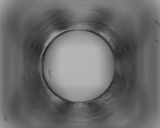 X0000091011478200708301346