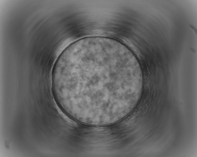 X0000091011479200708301346