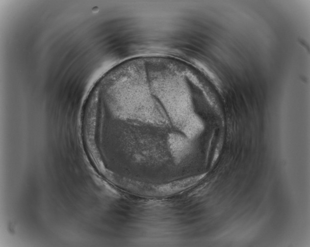 X0000091011480200708301346