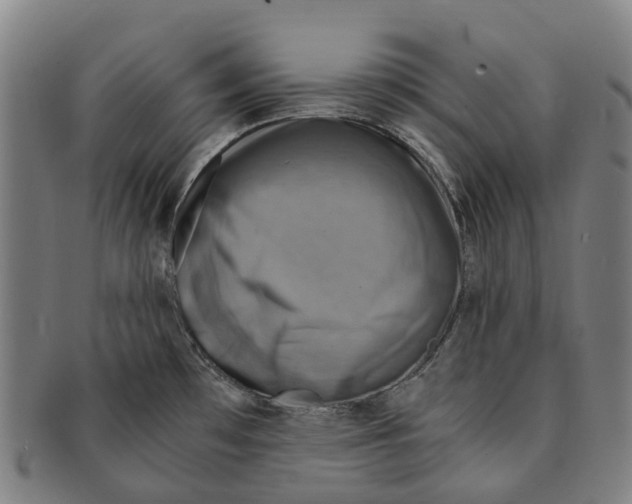 X0000091011481200708301346