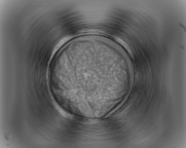 X0000091011482200708301346