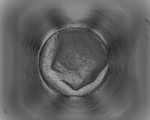 X0000091011483200708301346