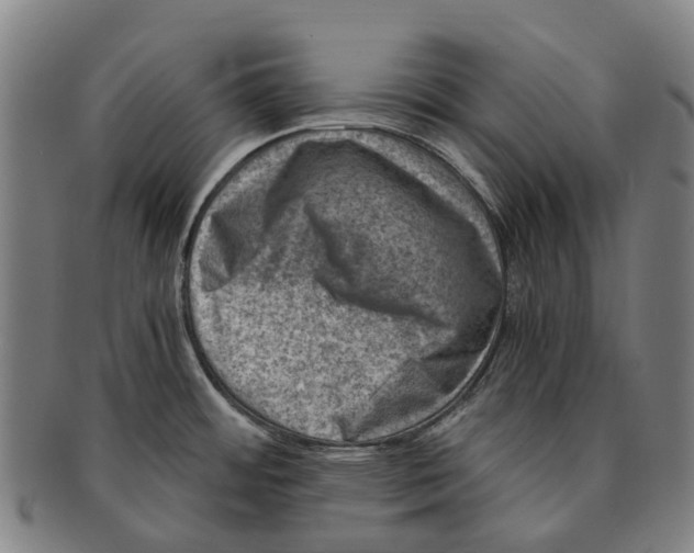 X0000091011484200708301346