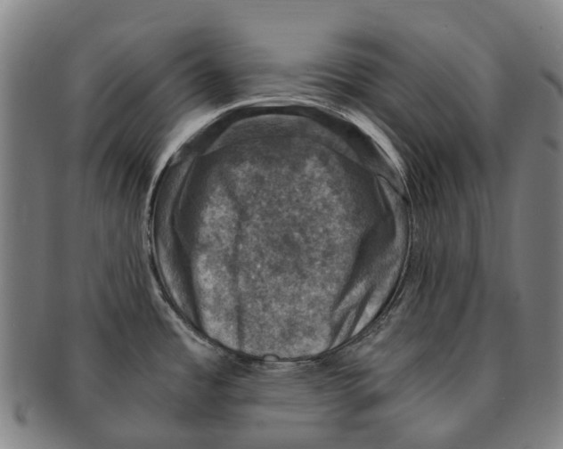 X0000091011485200708301345