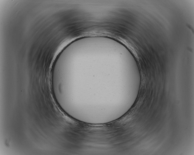 X0000091011486200708301345