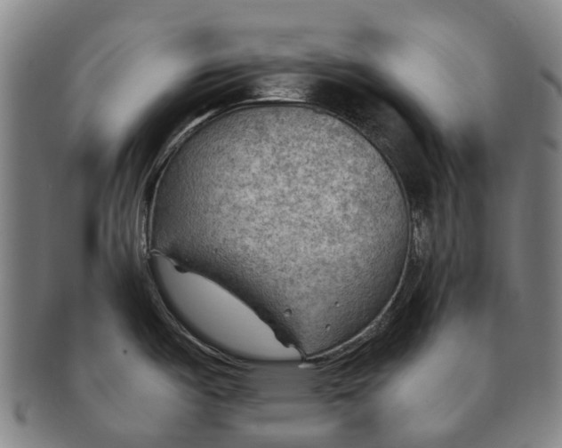 X0000091011487200708301345