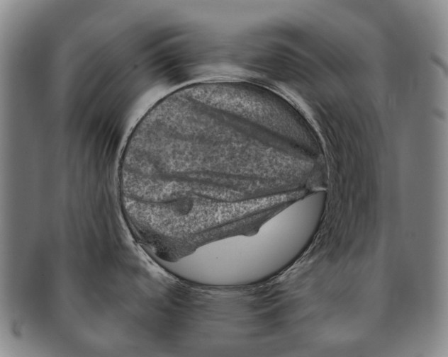 X0000091011488200708301345