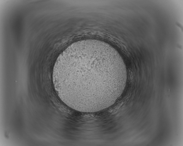 X0000091011489200708301345