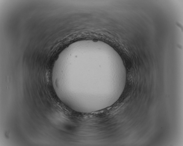 X0000091011490200708301345