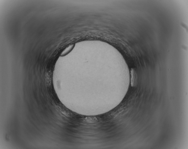 X0000091011491200708301345