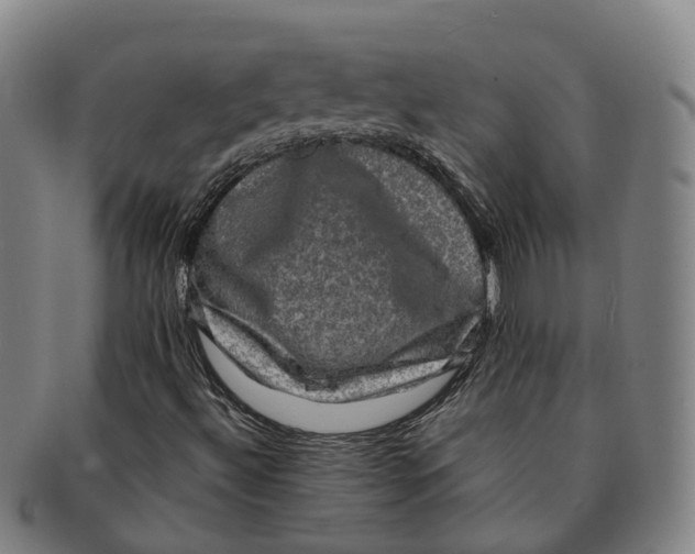 X0000091011492200708301345