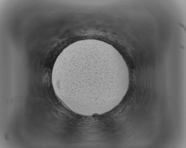 X0000091011493200708301345