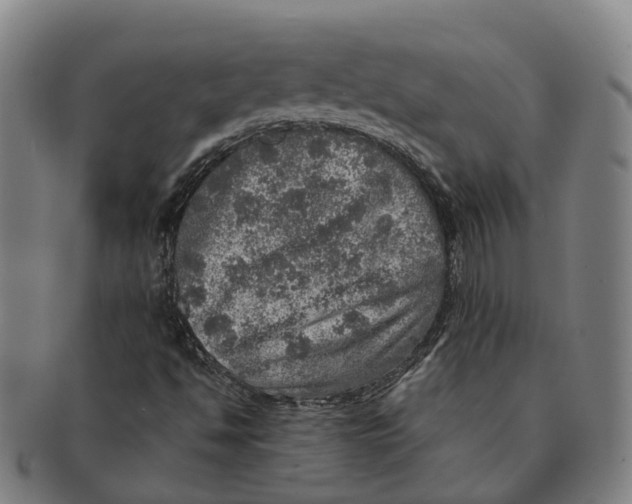 X0000091011494200708301345