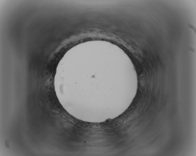 X0000091011495200708301345