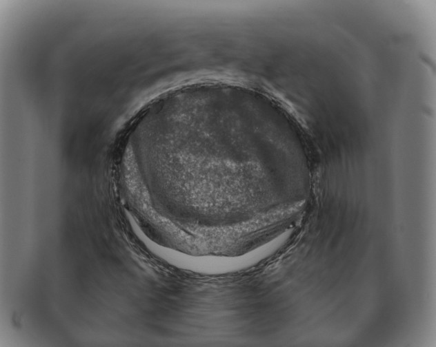 X0000091011496200708301345