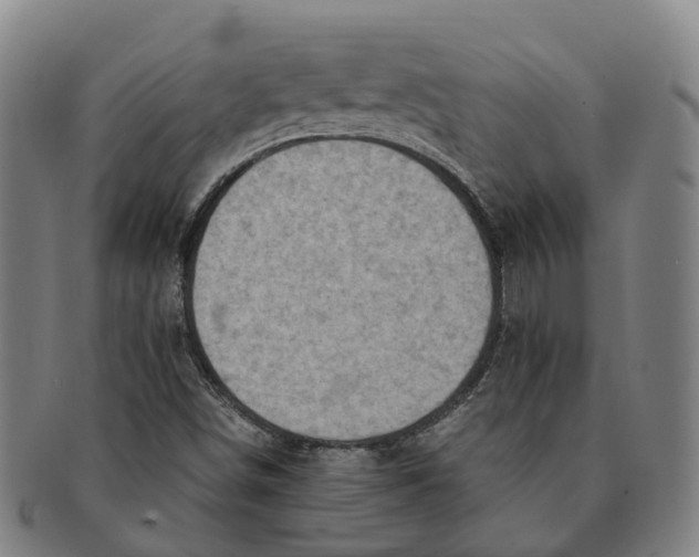 X0000091011498200708301345