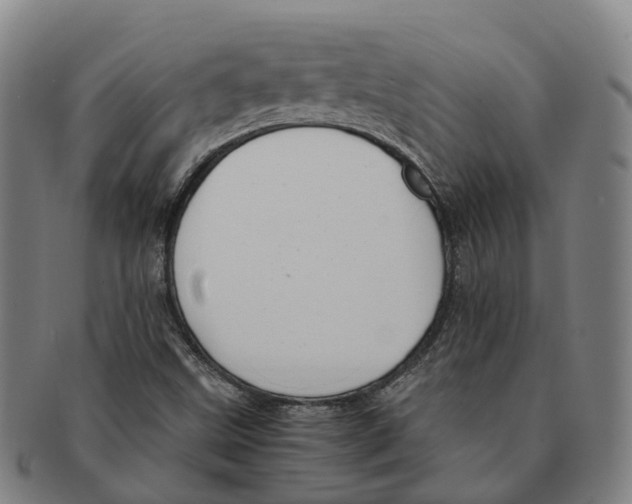 X0000091011499200708301345