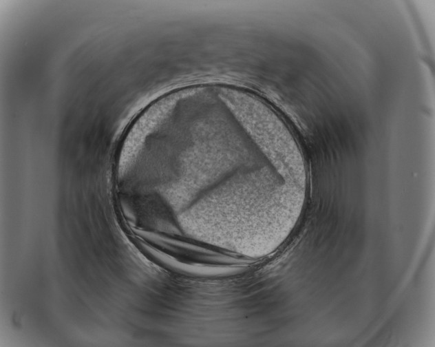 X0000091011500200708301345