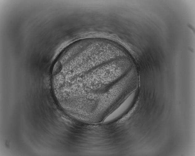 X0000091011501200708301345