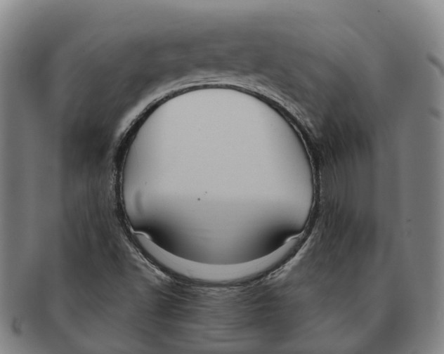 X0000091011502200708301345