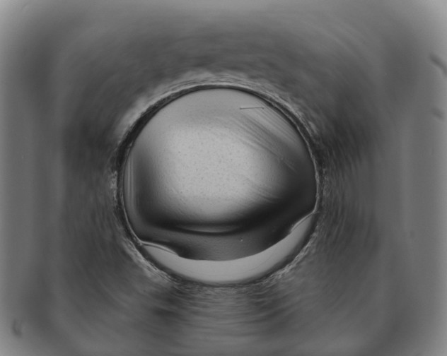 X0000091011503200708301345