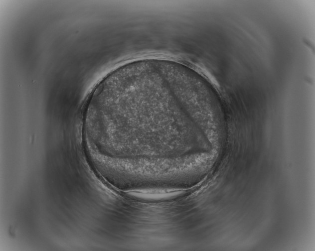 X0000091011504200708301345