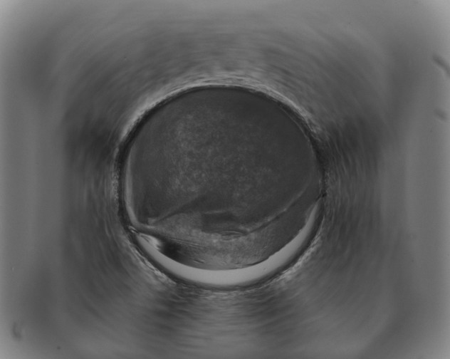 X0000091011506200708301345