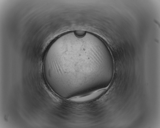 X0000091011507200708301345