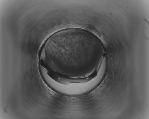 X0000091011508200708301345