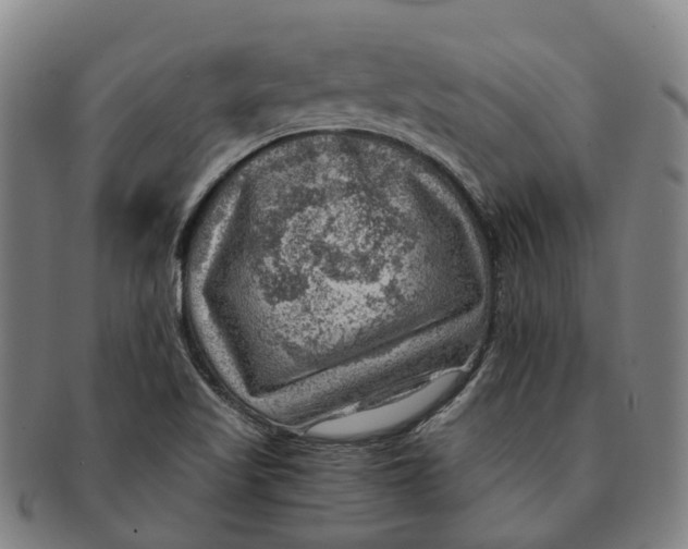 X0000091011509200708301345